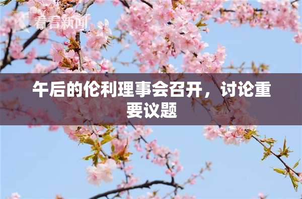 午后的伦利理事会召开，讨论重要议题
