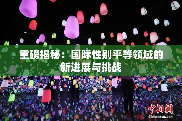 重磅揭秘：国际性别平等领域的新进展与挑战