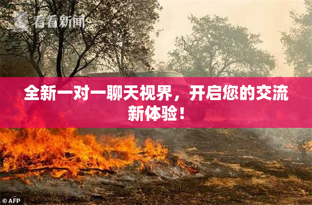全新一对一聊天视界，开启您的交流新体验！