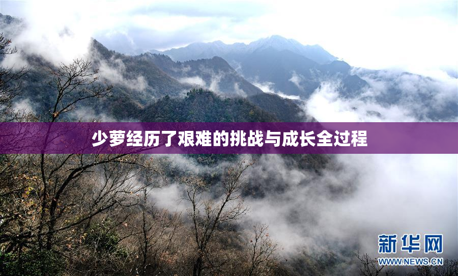 少萝经历了艰难的挑战与成长全过程