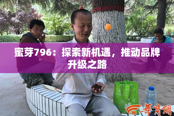 蜜芽796：探索新机遇，推动品牌升级之路