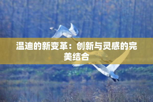 温迪的新变革：创新与灵感的完美结合