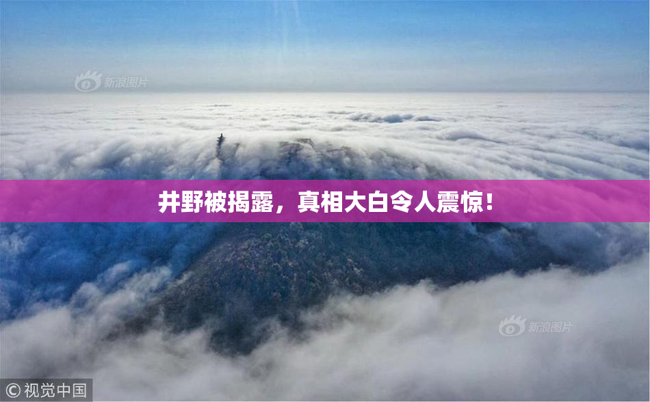 井野被揭露，真相大白令人震惊！