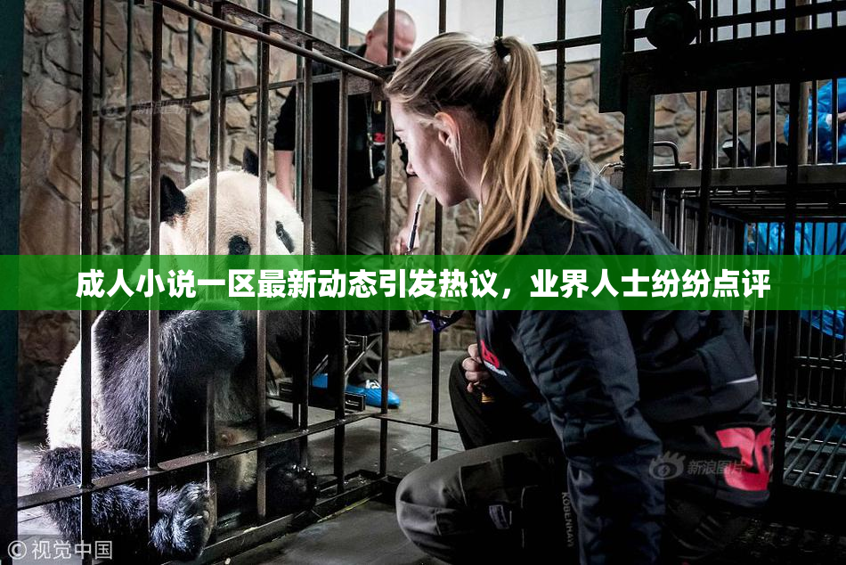 成人小说一区最新动态引发热议，业界人士纷纷点评