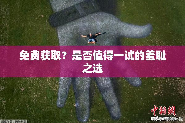 免费获取？是否值得一试的羞耻之选