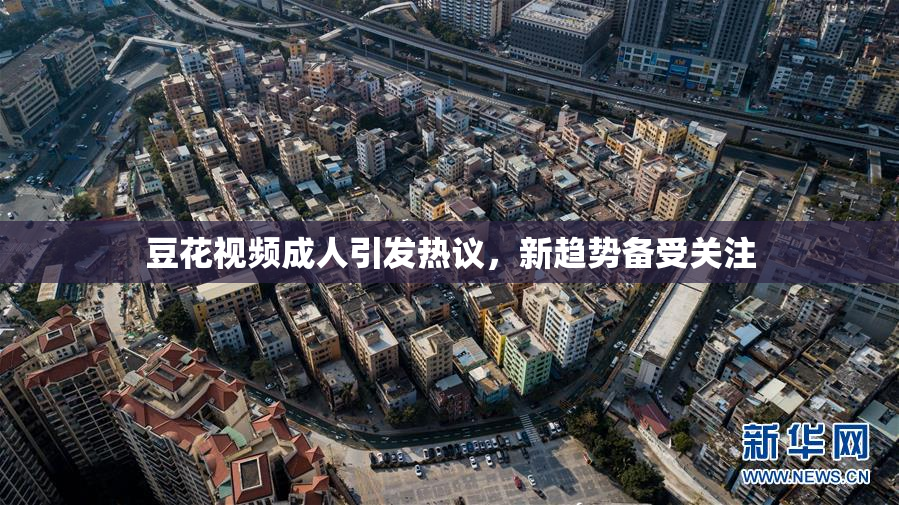豆花视频成人引发热议，新趋势备受关注