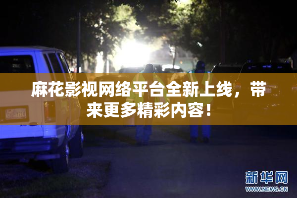 麻花影视网络平台全新上线，带来更多精彩内容！