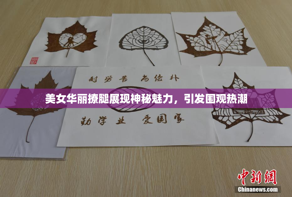 美女华丽撩腿展现神秘魅力，引发围观热潮