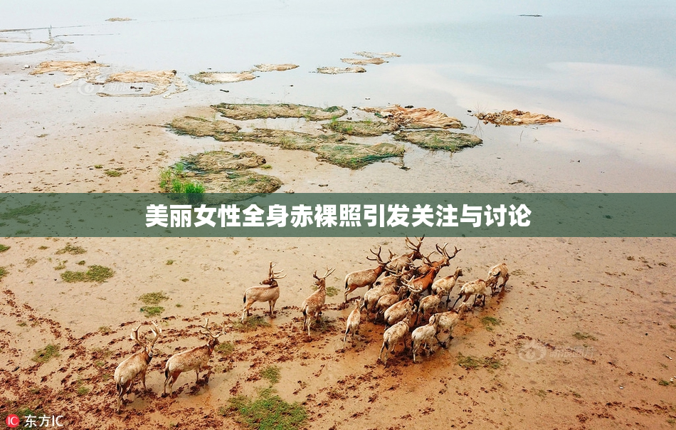 美丽女性全身赤裸照引发关注与讨论