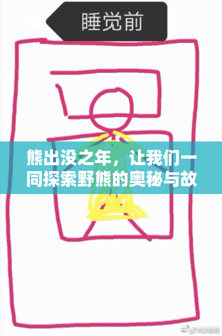 熊出没之年，让我们一同探索野熊的奥秘与故事