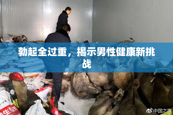 勃起全过重，揭示男性健康新挑战