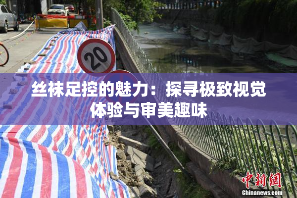丝袜足控的魅力：探寻极致视觉体验与审美趣味