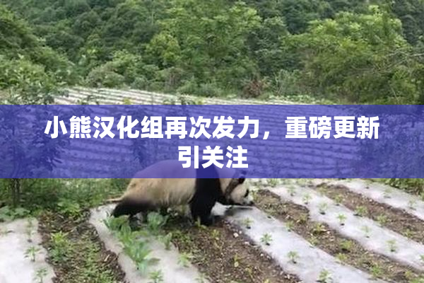 小熊汉化组再次发力，重磅更新引关注