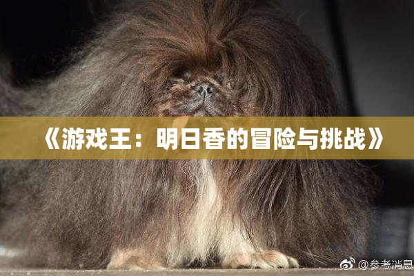 《游戏王：明日香的冒险与挑战》