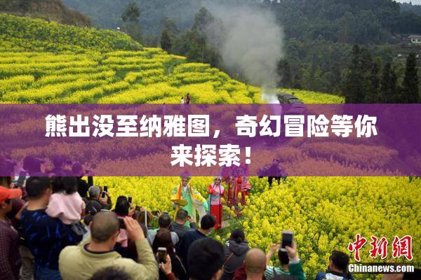 熊出没至纳雅图，奇幻冒险等你来探索！