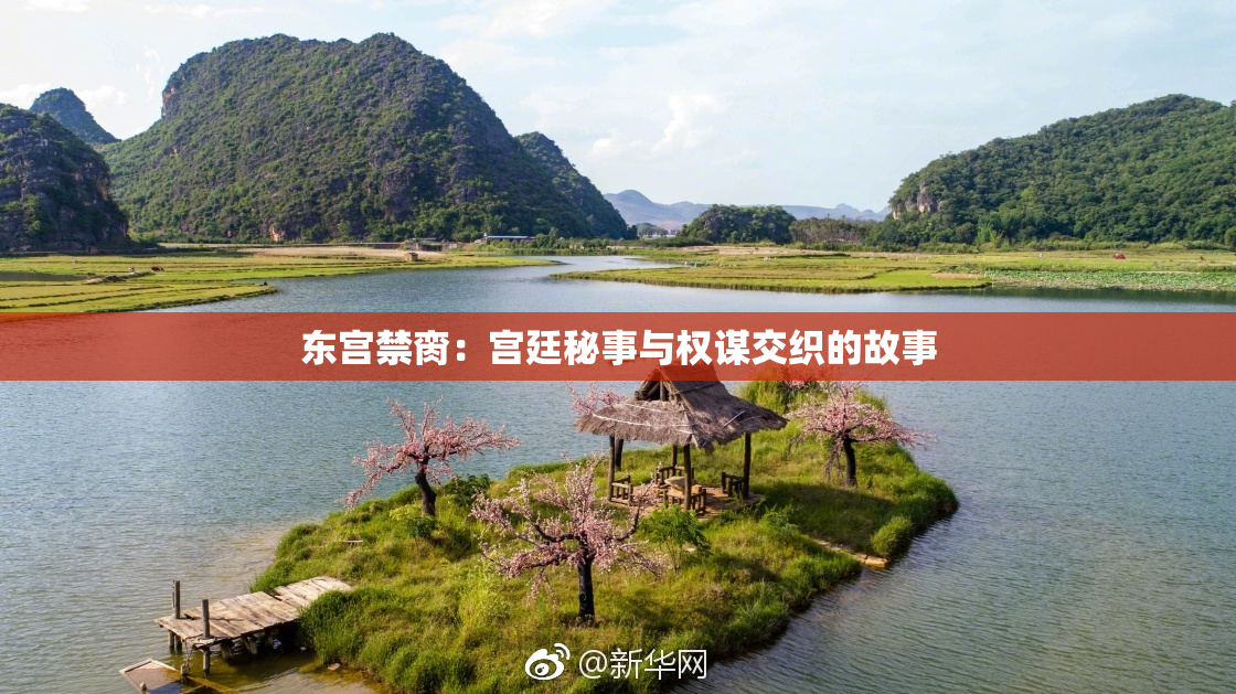 东宫禁脔：宫廷秘事与权谋交织的故事