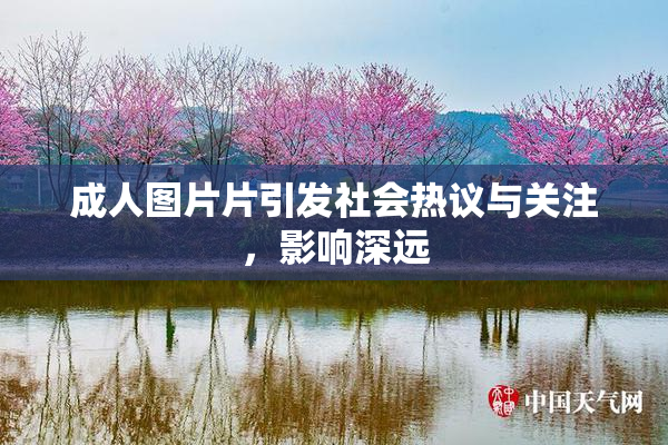 成人图片片引发社会热议与关注，影响深远