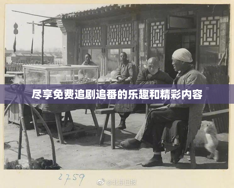 尽享免费追剧追番的乐趣和精彩内容