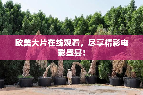 欧美大片在线观看，尽享精彩电影盛宴！