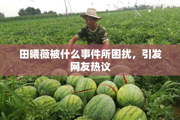 田曦薇被什么事件所困扰，引发网友热议