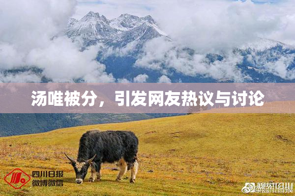 汤唯被分，引发网友热议与讨论