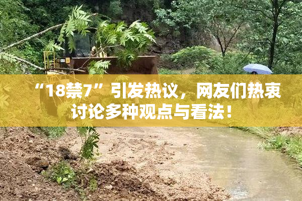 “18禁7”引发热议，网友们热衷讨论多种观点与看法！