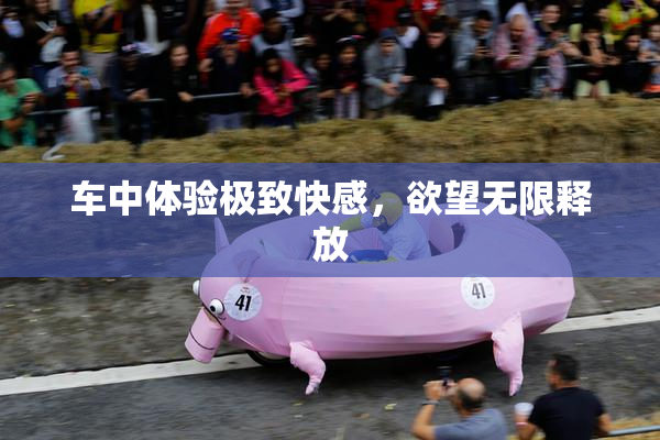 车中体验极致快感，欲望无限释放