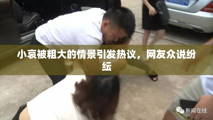 小哀被粗大的情景引发热议，网友众说纷纭