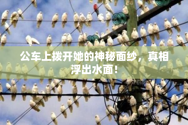 公车上拨开她的神秘面纱，真相浮出水面！