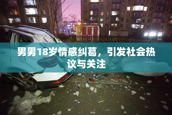 男男18岁情感纠葛，引发社会热议与关注