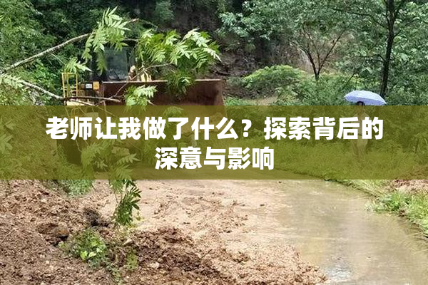 老师让我做了什么？探索背后的深意与影响