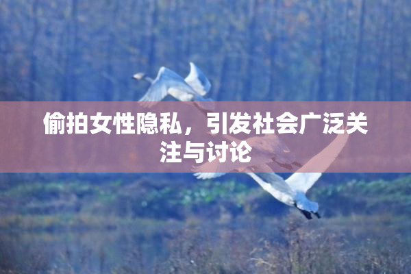 偷拍女性隐私，引发社会广泛关注与讨论