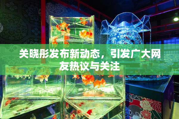 关晓彤发布新动态，引发广大网友热议与关注
