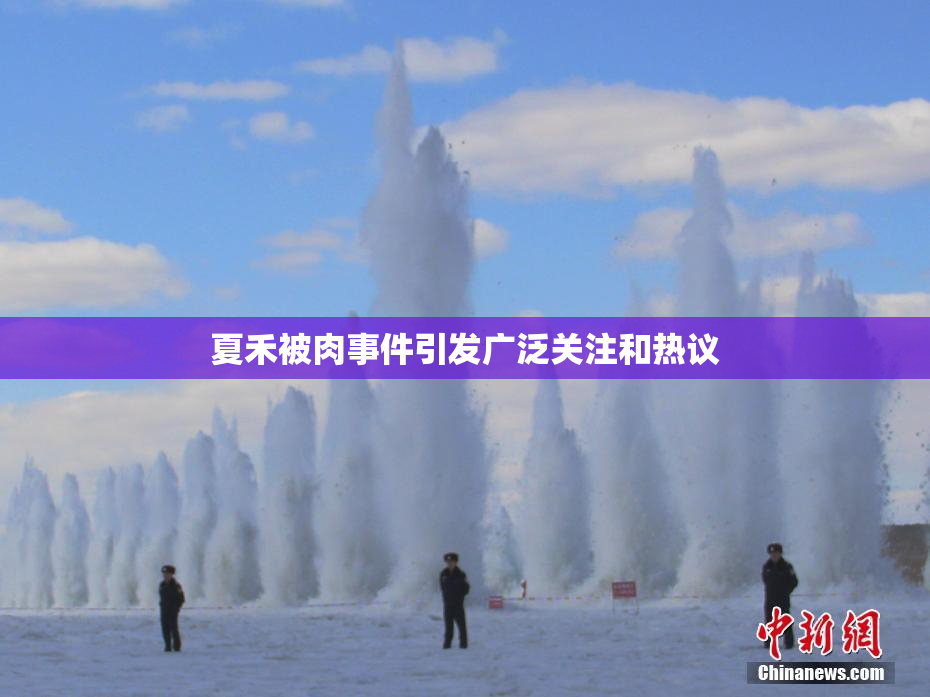 夏禾被肉事件引发广泛关注和热议