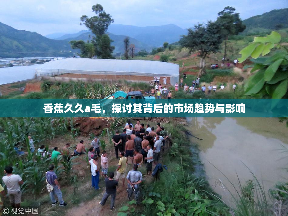 香蕉久久a毛，探讨其背后的市场趋势与影响