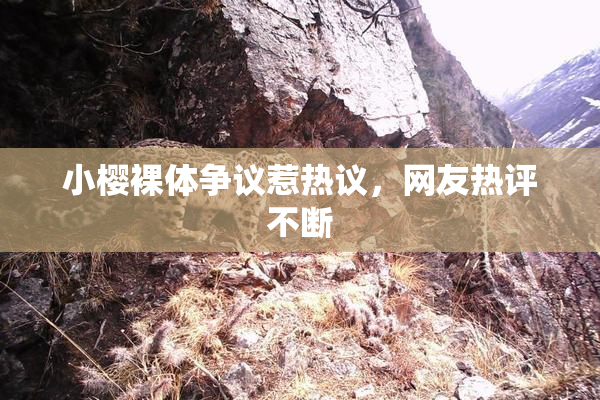 小樱裸体争议惹热议，网友热评不断