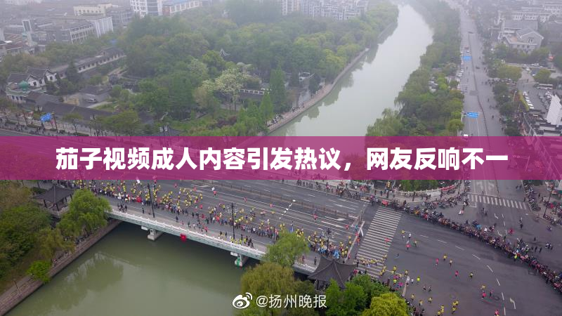 茄子视频成人内容引发热议，网友反响不一