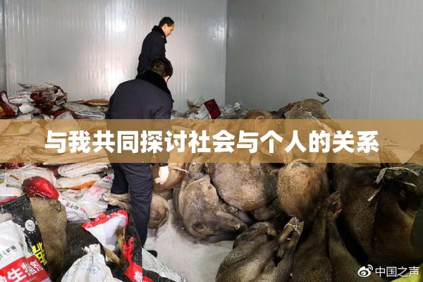 与我共同探讨社会与个人的关系