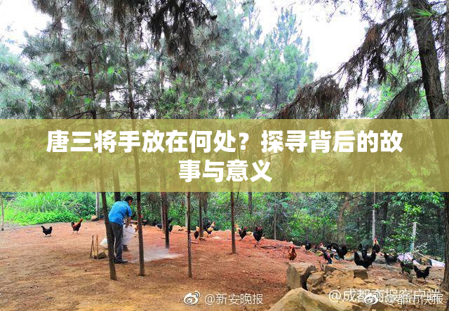 唐三将手放在何处？探寻背后的故事与意义