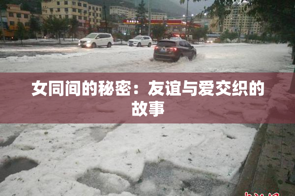 女同间的秘密：友谊与爱交织的故事