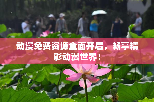 动漫免费资源全面开启，畅享精彩动漫世界！