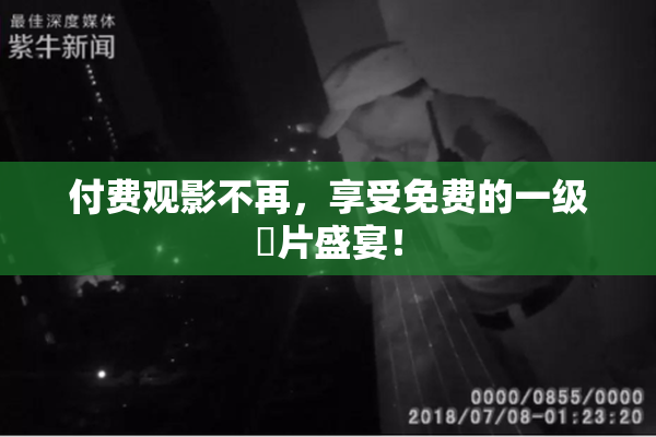 付费观影不再，享受免费的一级婬片盛宴！