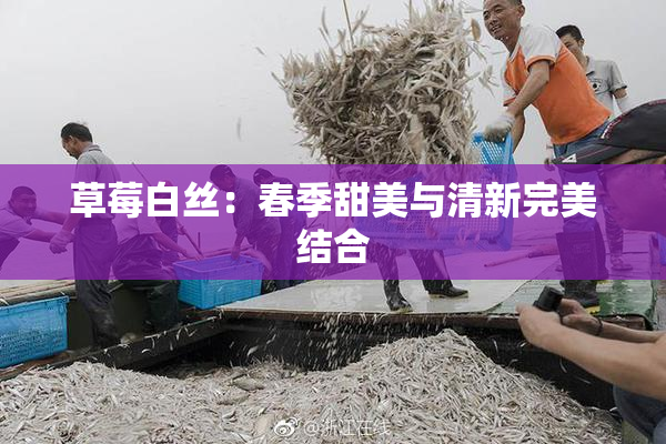 草莓白丝：春季甜美与清新完美结合