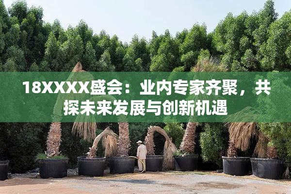 18XXXX盛会：业内专家齐聚，共探未来发展与创新机遇