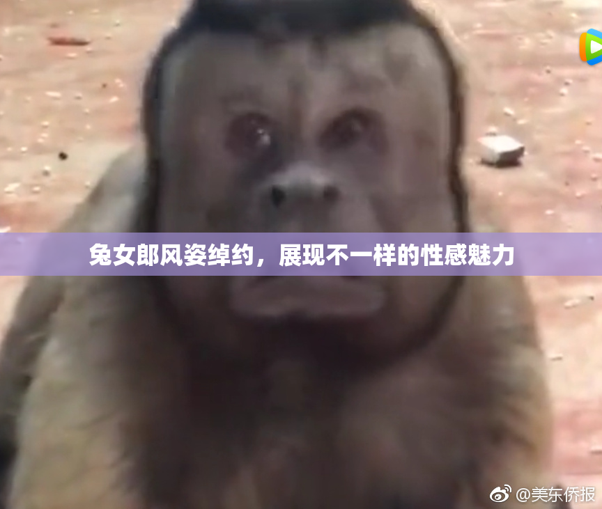 兔女郎风姿绰约，展现不一样的性感魅力