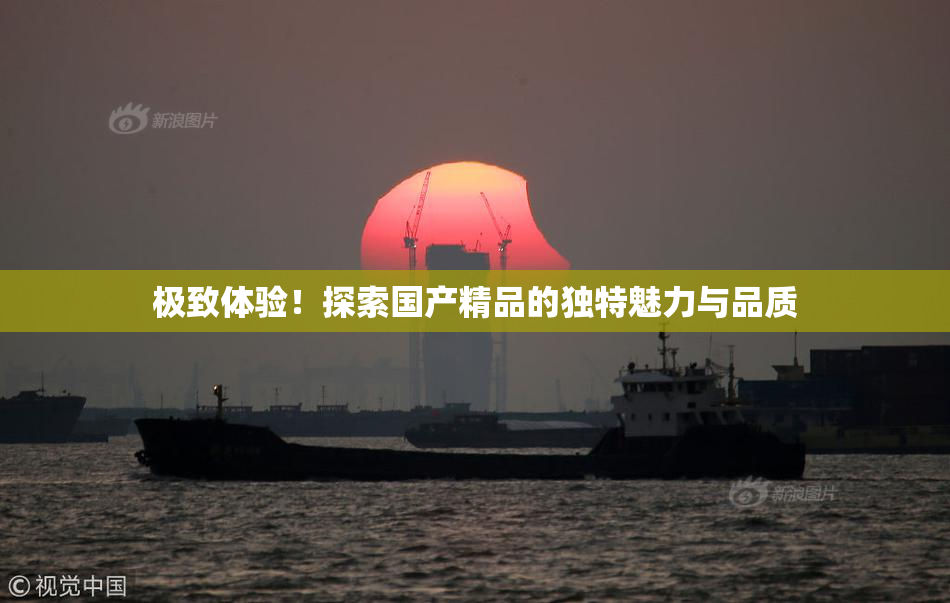 极致体验！探索国产精品的独特魅力与品质