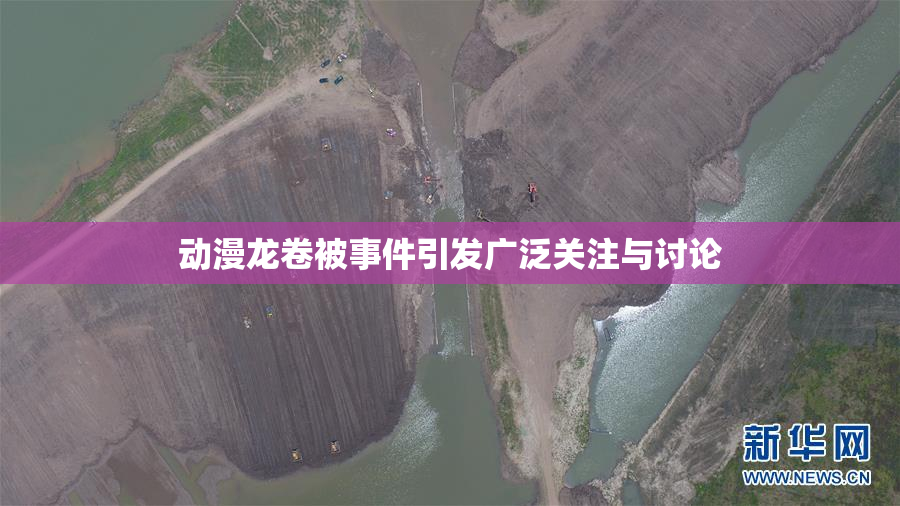 动漫龙卷被事件引发广泛关注与讨论