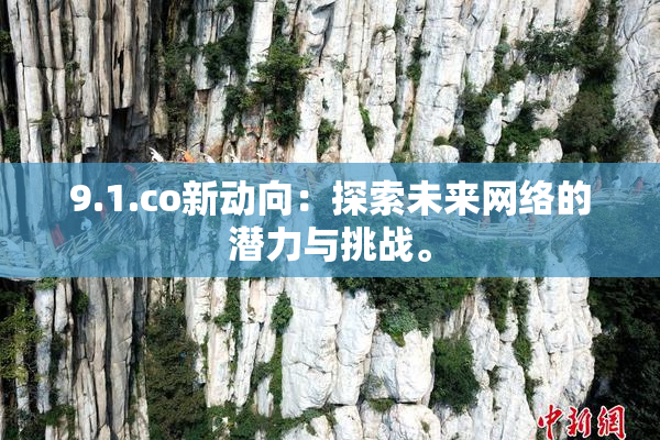 9.1.co新动向：探索未来网络的潜力与挑战。