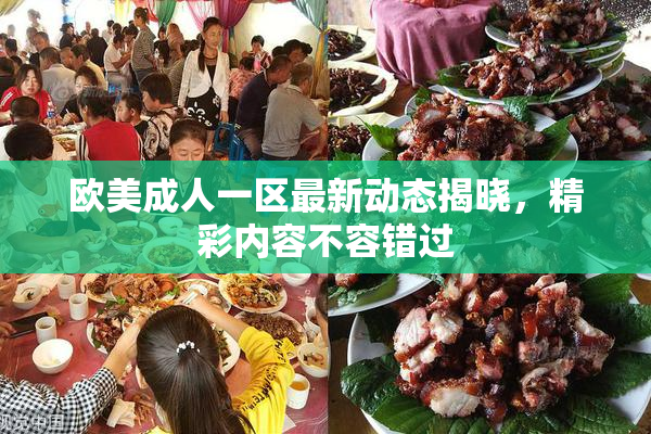 欧美成人一区最新动态揭晓，精彩内容不容错过