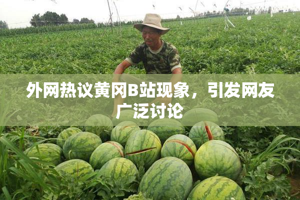 外网热议黄冈B站现象，引发网友广泛讨论